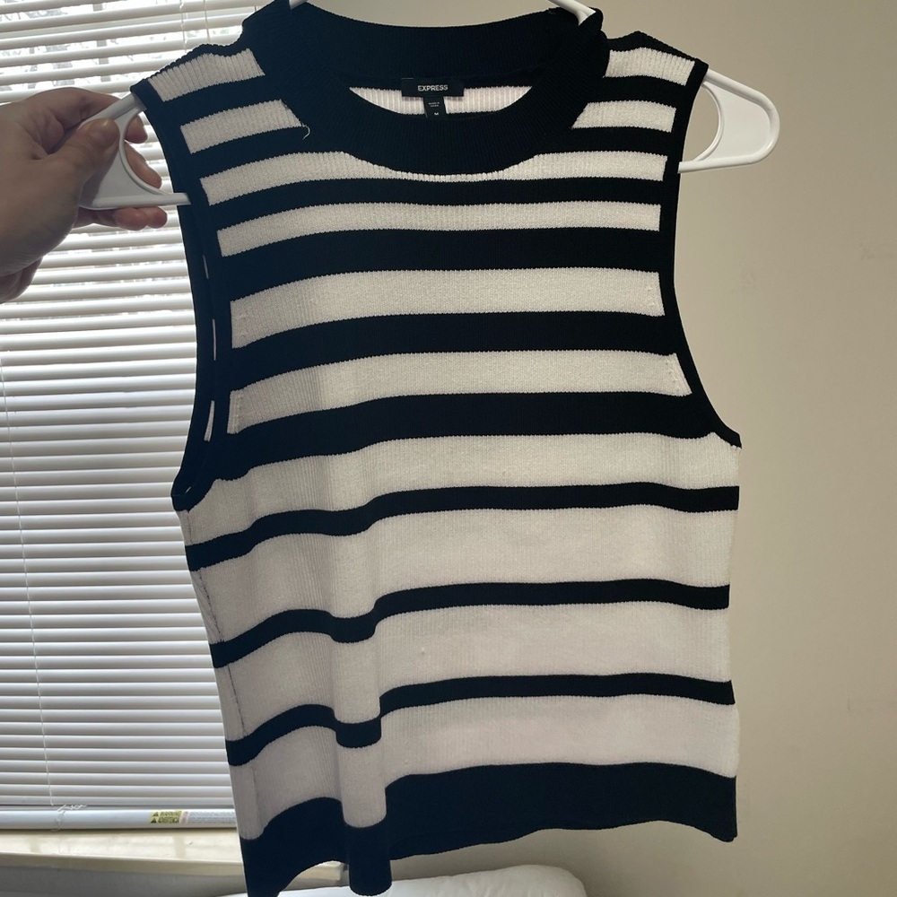 Express Blue and White Ribbed Fitted Tank Top